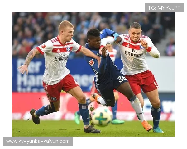 德甲球队官网:德甲各球队官网的最新资讯与功能 德甲球队官网:德甲各球队官网的最新资讯与功能