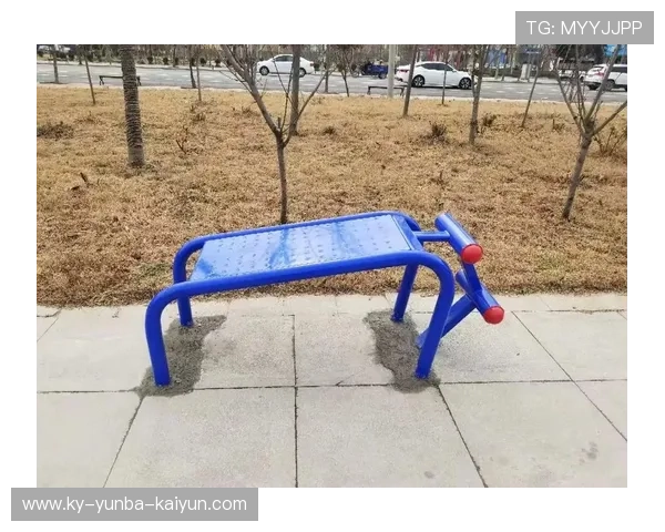 海口健身器材大全市场种类与用户选择