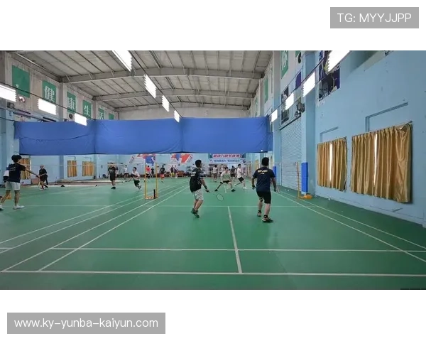 羽毛球双打公司